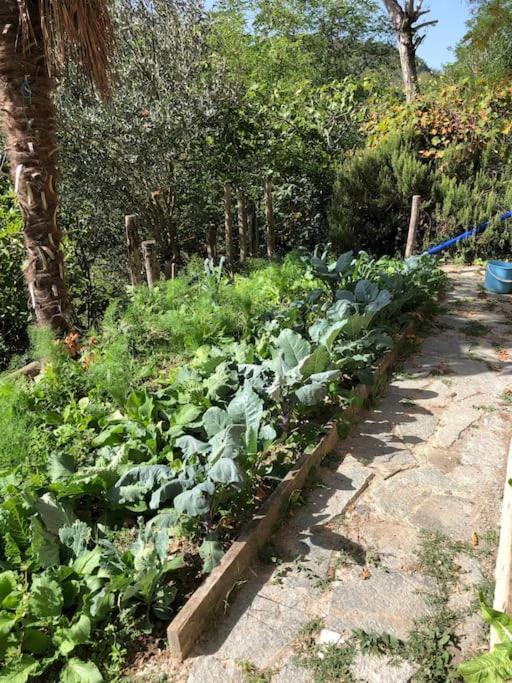 Ca' Cuore In Monferrato Serralunga di Crea Luaran gambar